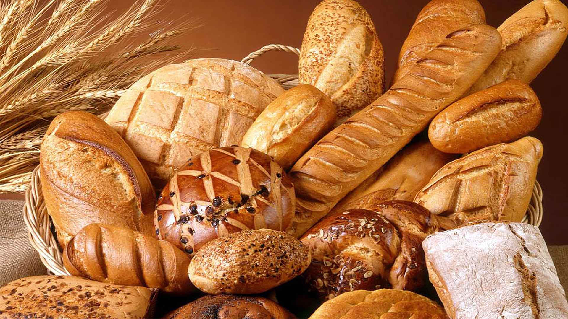 Artisan Bakery Display